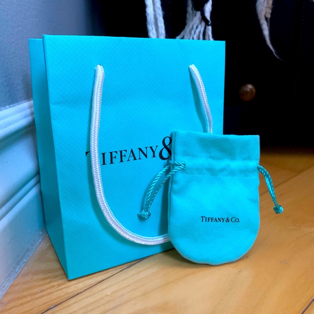 Tiffany and Co. bag and mini jewelry pouch!